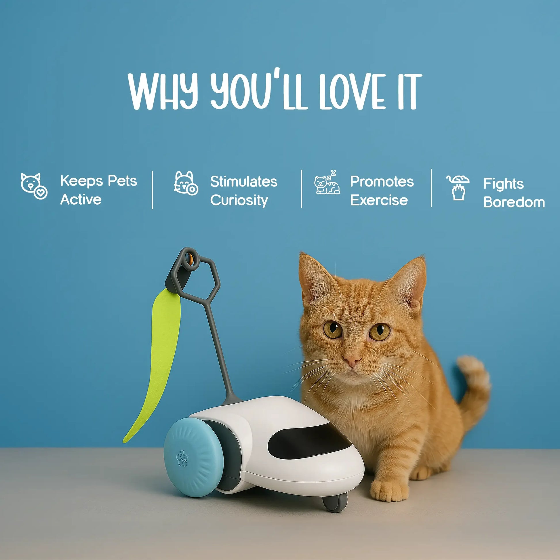 ZoomiChase Toy – Smart Motion Chase Toy for Curious, Active Pets - Tilting Heads