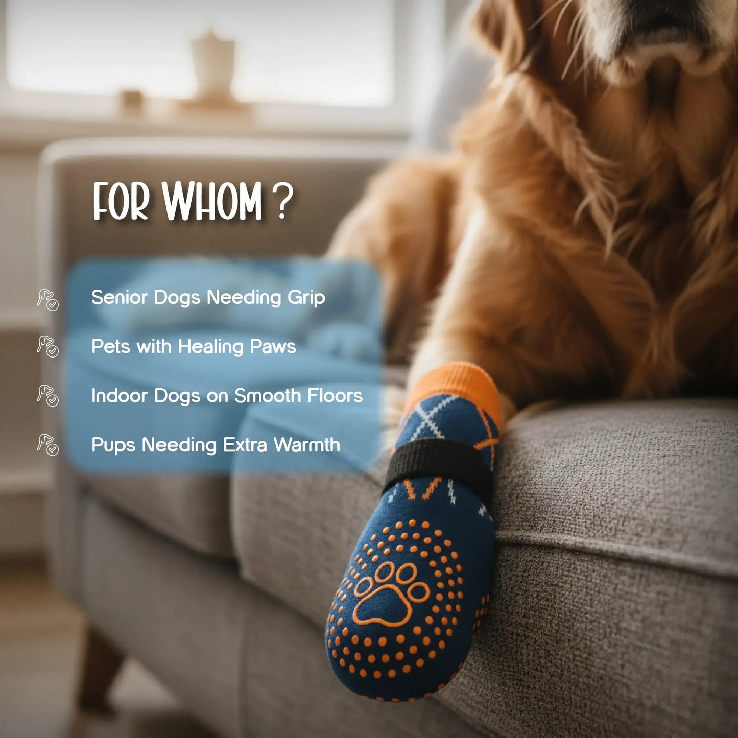 TreadCore Pet Socks – Anti-Slip Comfort for Safe Paws - Tilting Heads