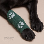 SafePlast Pet Bandage | Self-Adhesive First Aid Wrap For Dogs & Cat