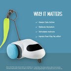 ZoomiChase Toy – Smart Motion Chase Toy for Curious, Active Pets - Tilting Heads