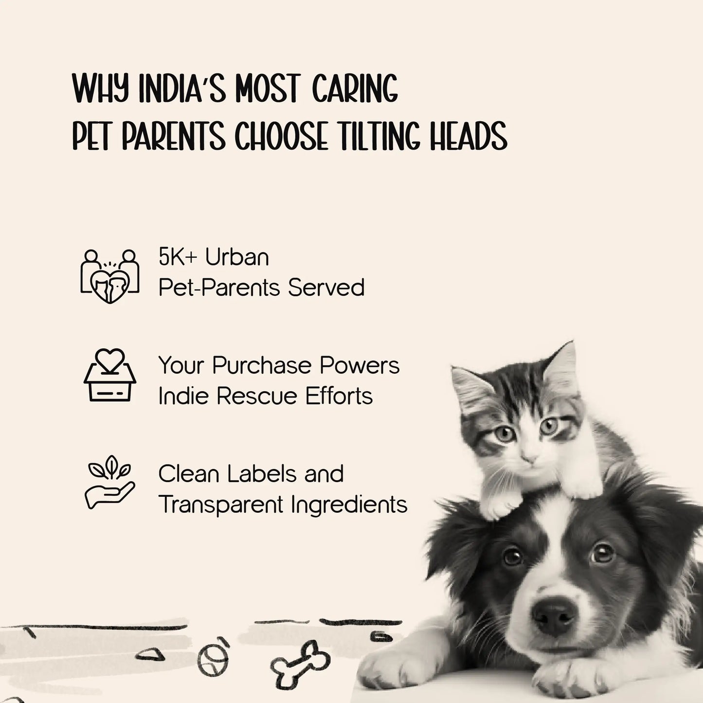 WingBird Smart Flapping Toy – Real Chirps & Safe Pet Play