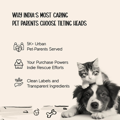 WingBird Smart Flapping Toy – Real Chirps & Safe Pet Play