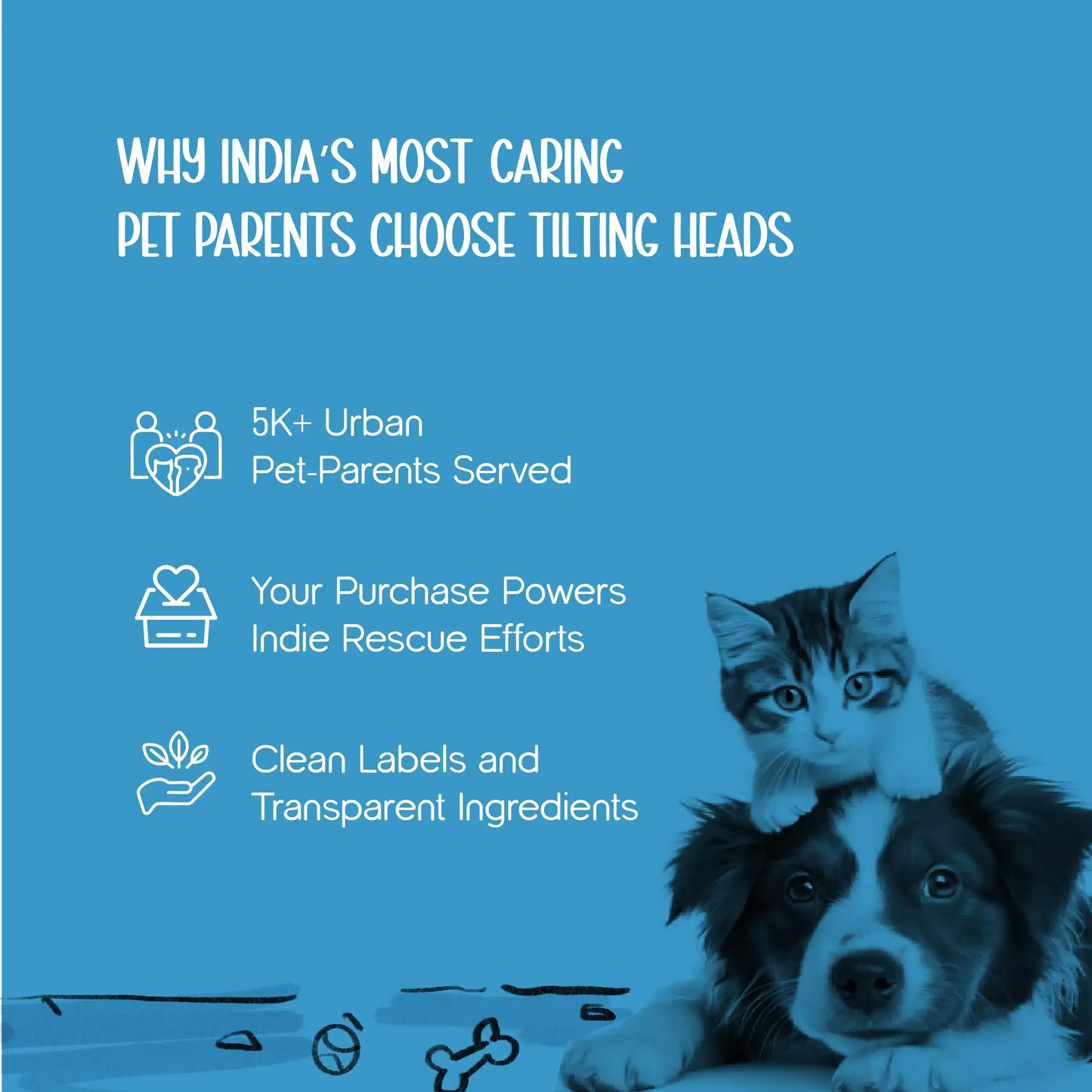 TreadCore Pet Socks – Anti-Slip Comfort for Safe Paws - Tilting Heads