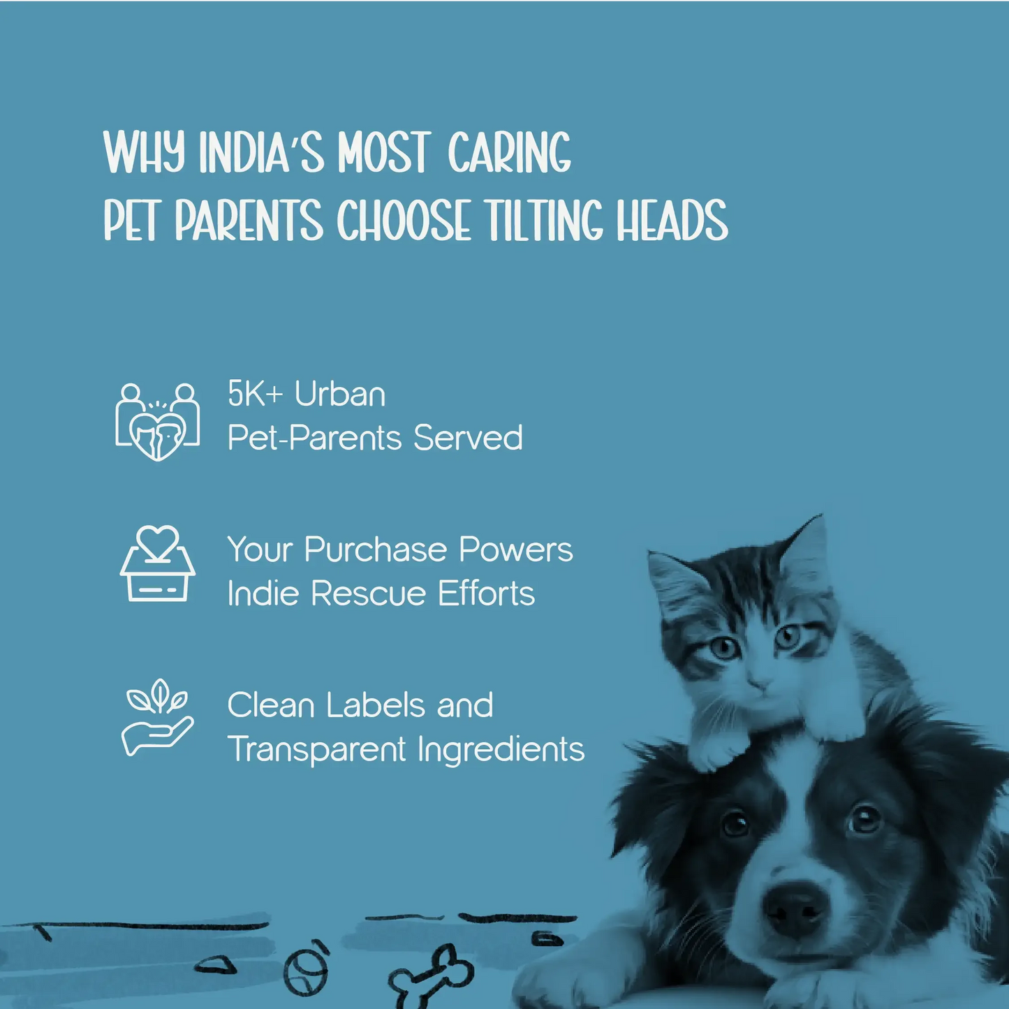 ZoomiChase Toy – Smart Motion Chase Toy for Curious, Active Pets - Tilting Heads