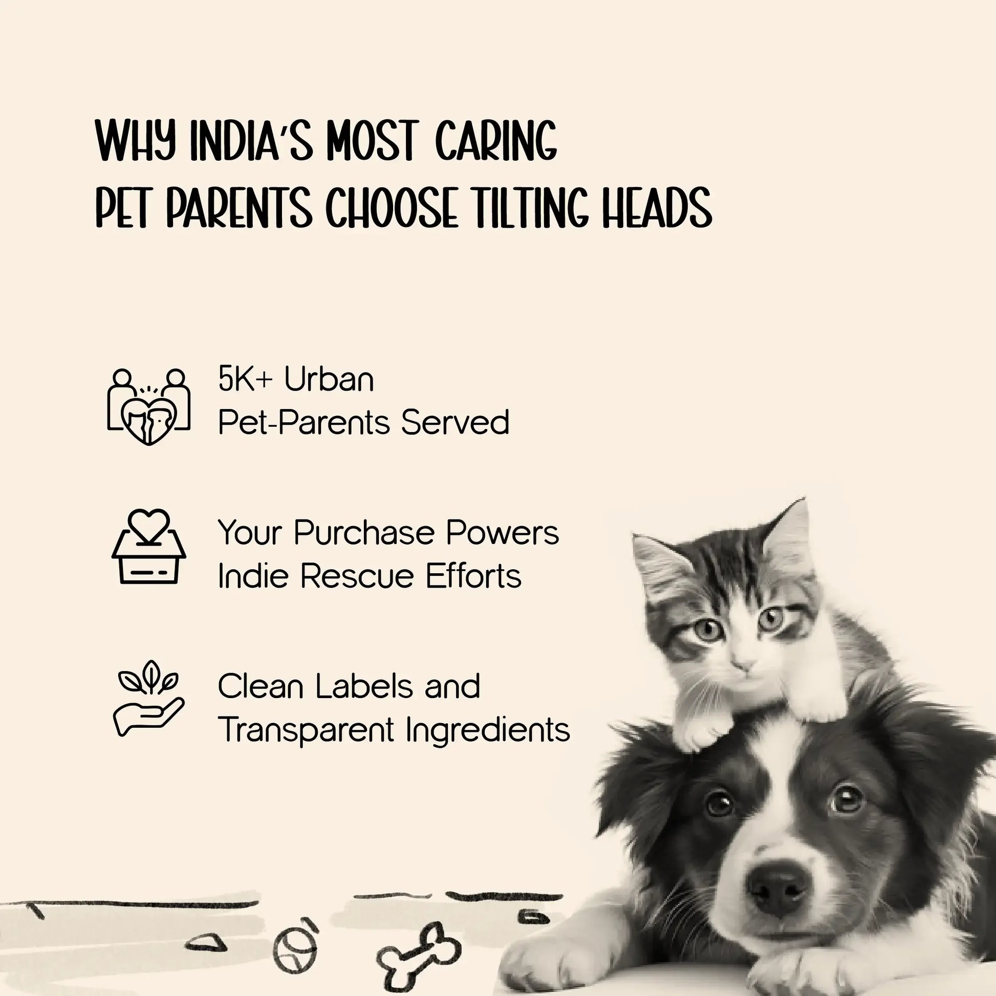 CozmoHaus – A Cute, Cozy Home for Your Pet’s Play & Rest Time - Tilting Heads