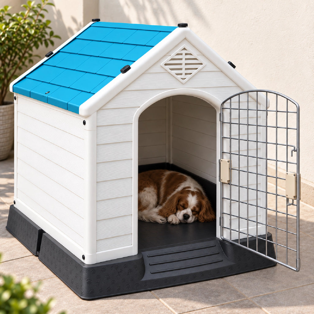 Outdoor pet house with blue roof and open door, dog resting on floor