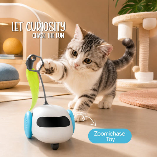 ZoomiChase Toy – Smart Motion Chase Toy for Curious, Active Pets