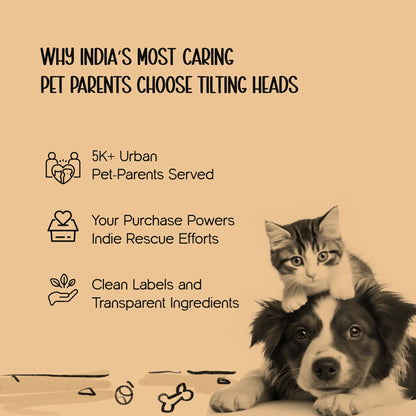 ScratchSpire – Smart Scratch Board for Active Cats & Furniture Protection