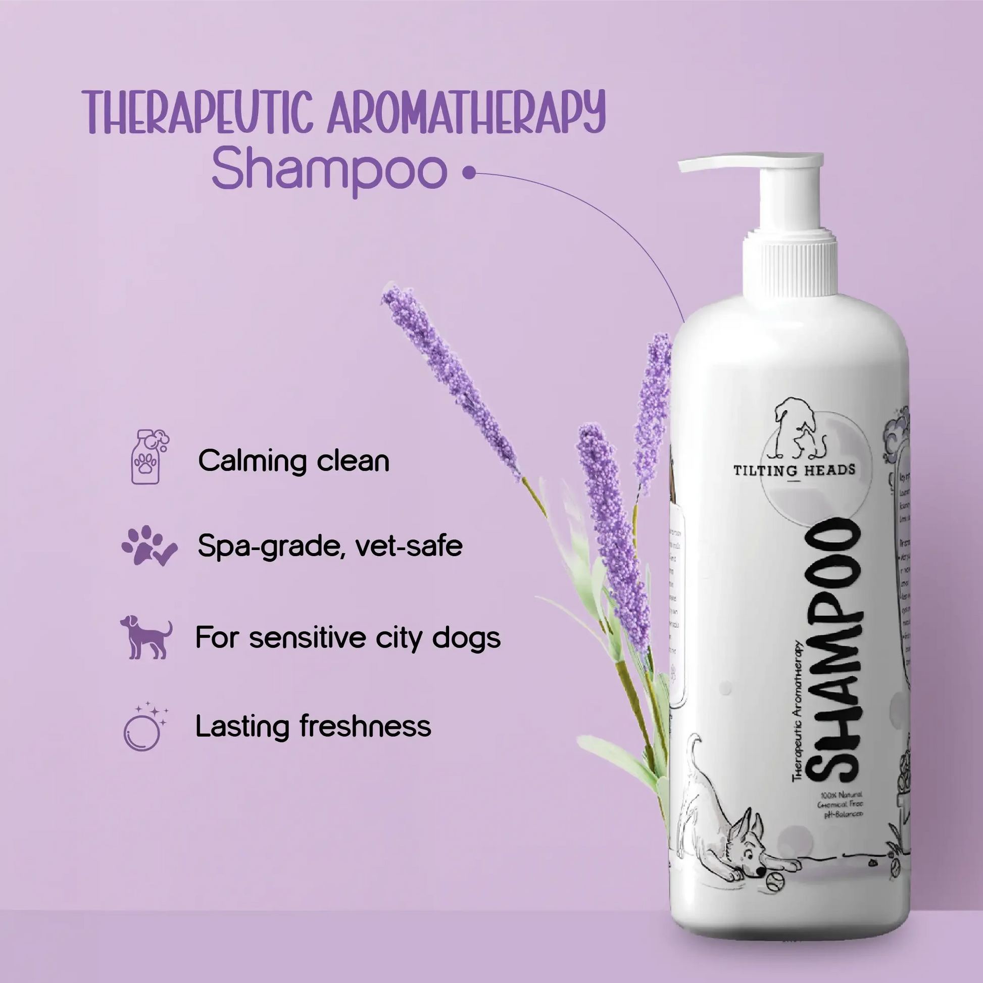 The Sunday SPA Kit - Tilting Heads