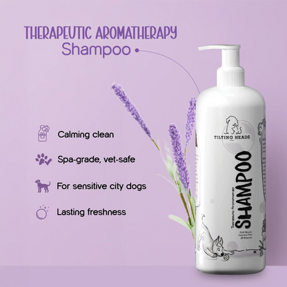 The Sunday SPA Kit - Tilting Heads