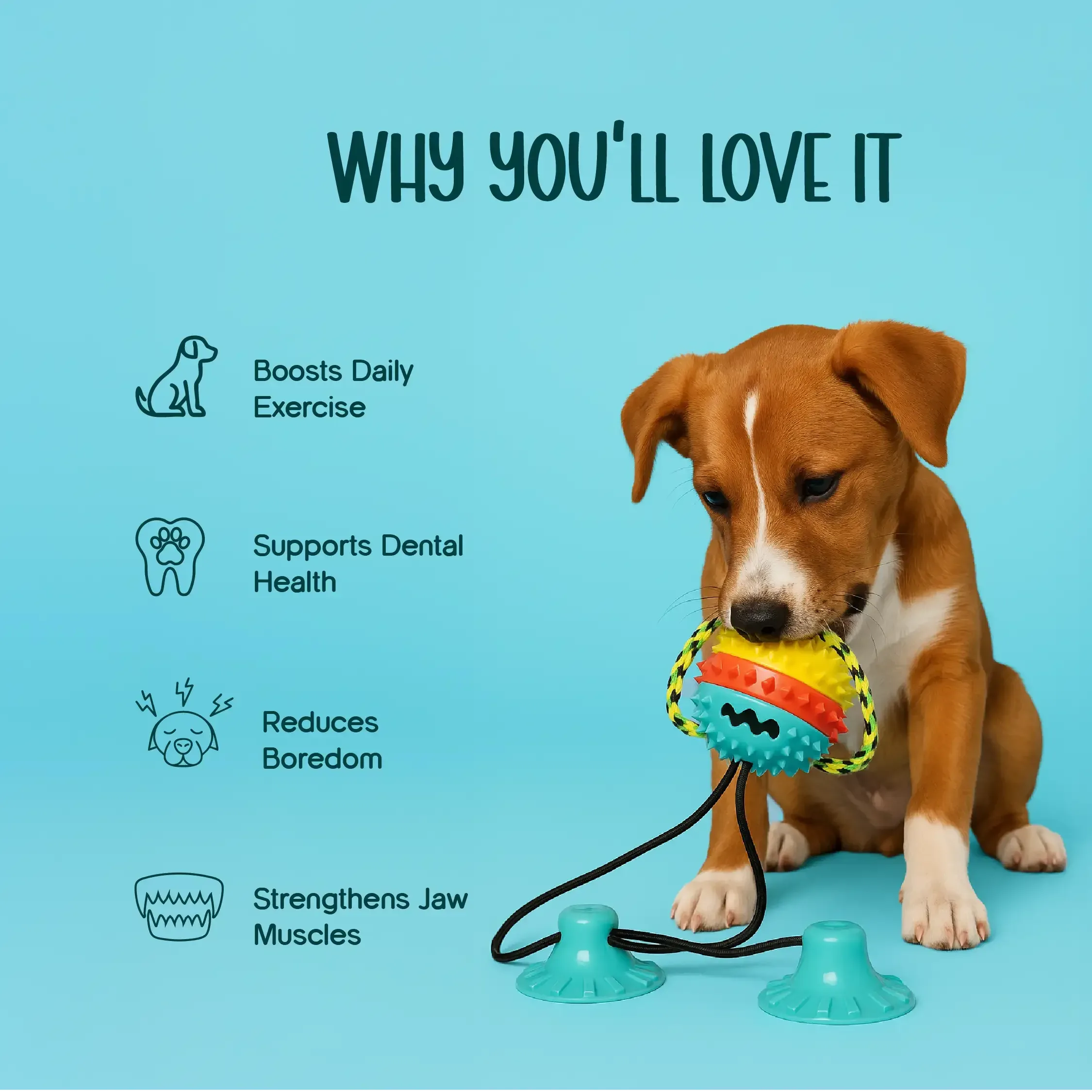 Chewzilla Maxx – The Ultimate Tug & Chew Toy for High-Energy Dogs - Tilting Heads