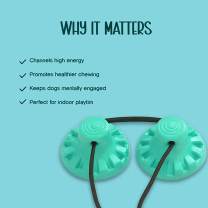 Chewzilla Maxx – The Ultimate Tug & Chew Toy for High-Energy Dogs