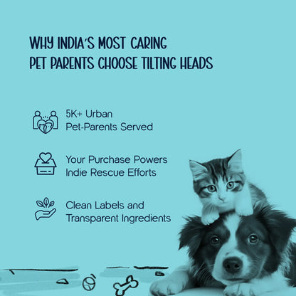 Chewzilla Maxx – The Ultimate Tug & Chew Toy for High-Energy Dogs