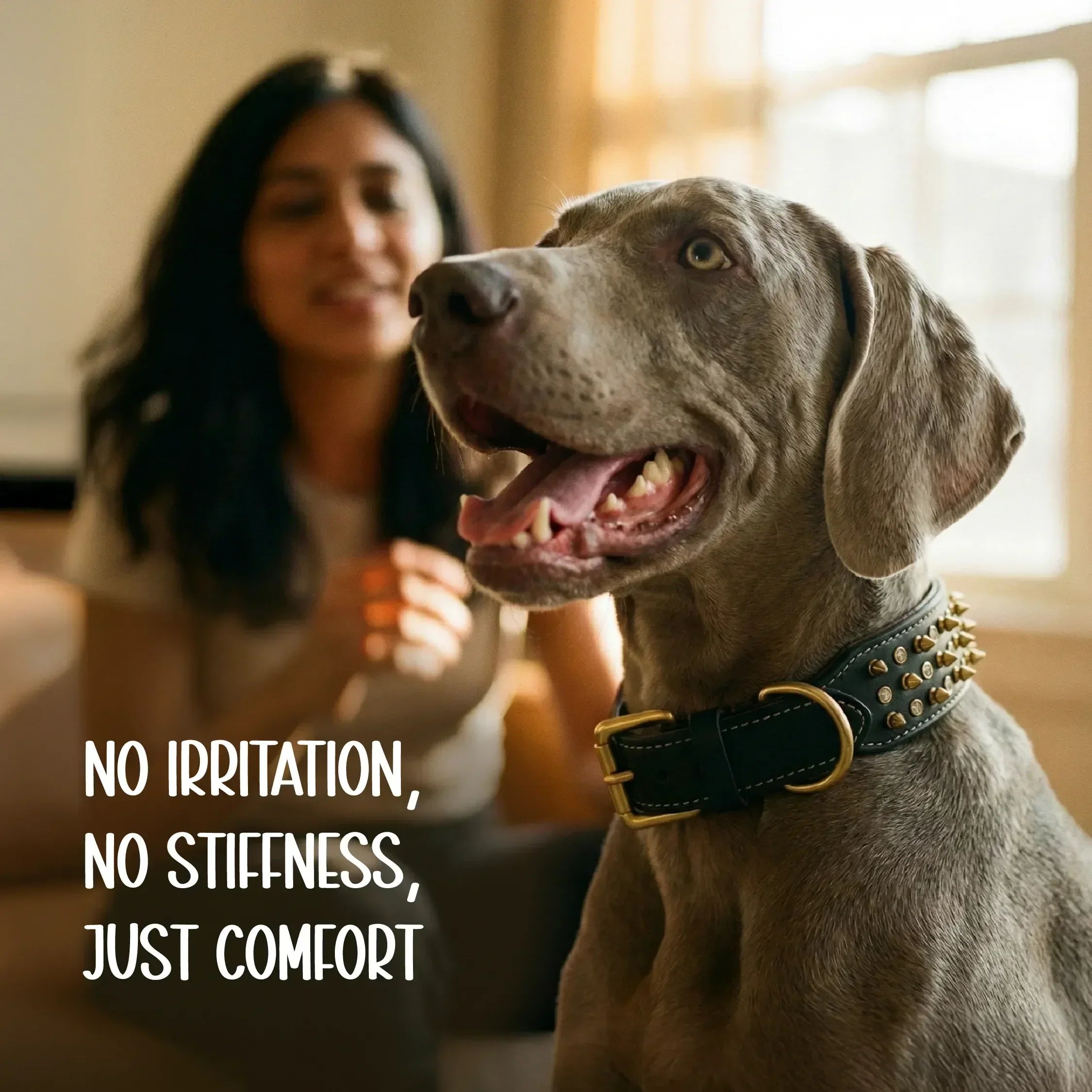 Vanguard Collar | Bold Finish, Premium Comfort in Pure Leather for Dogs - Tilting Heads