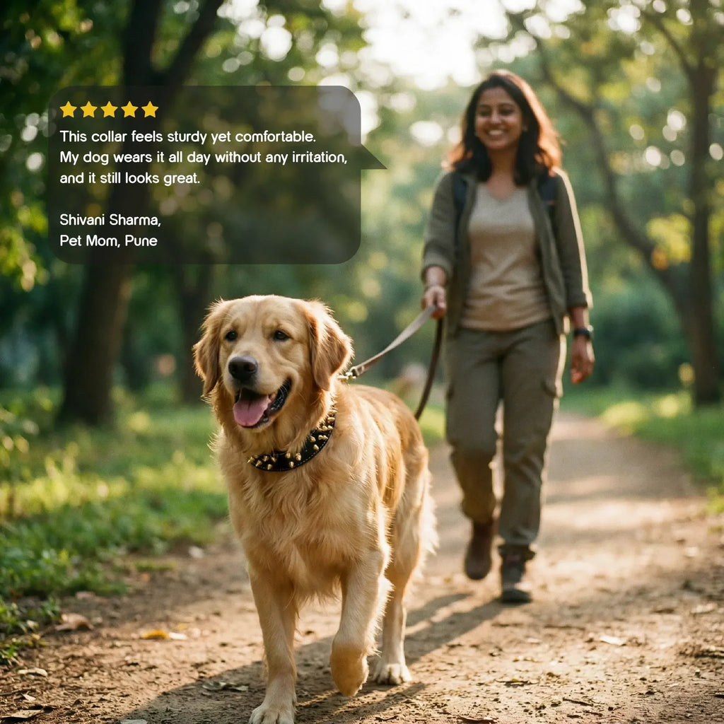 Vanguard Collar | Bold Finish, Premium Comfort in Pure Leather for Dogs - Tilting Heads