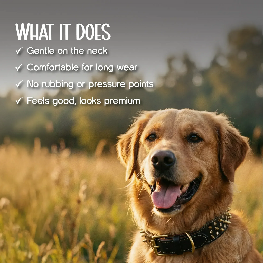Vanguard Collar | Bold Finish, Premium Comfort in Pure Leather for Dogs - Tilting Heads