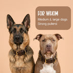 Vanguard Collar | Bold Finish, Premium Comfort in Pure Leather for Dogs - Tilting Heads