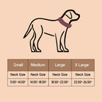 Vanguard Collar | Bold Finish, Premium Comfort in Pure Leather for Dogs