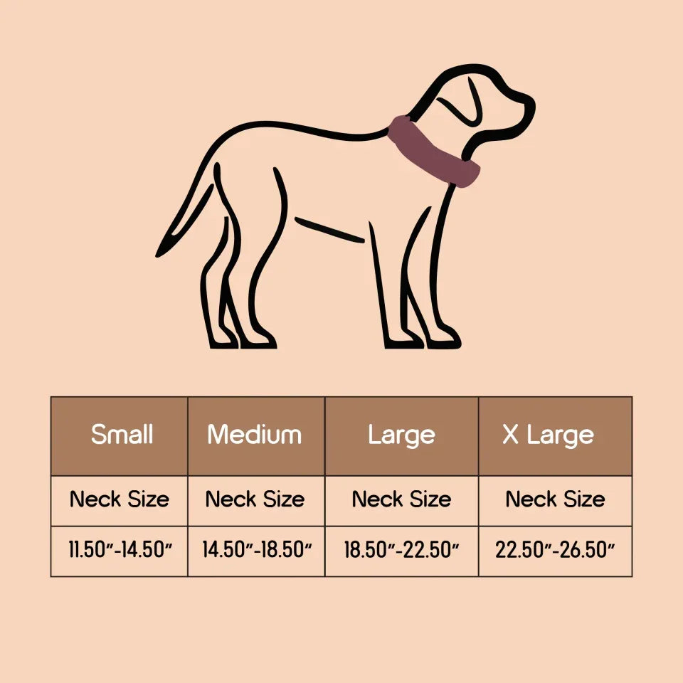 Vanguard Collar | Bold Finish, Premium Comfort in Pure Leather for Dogs