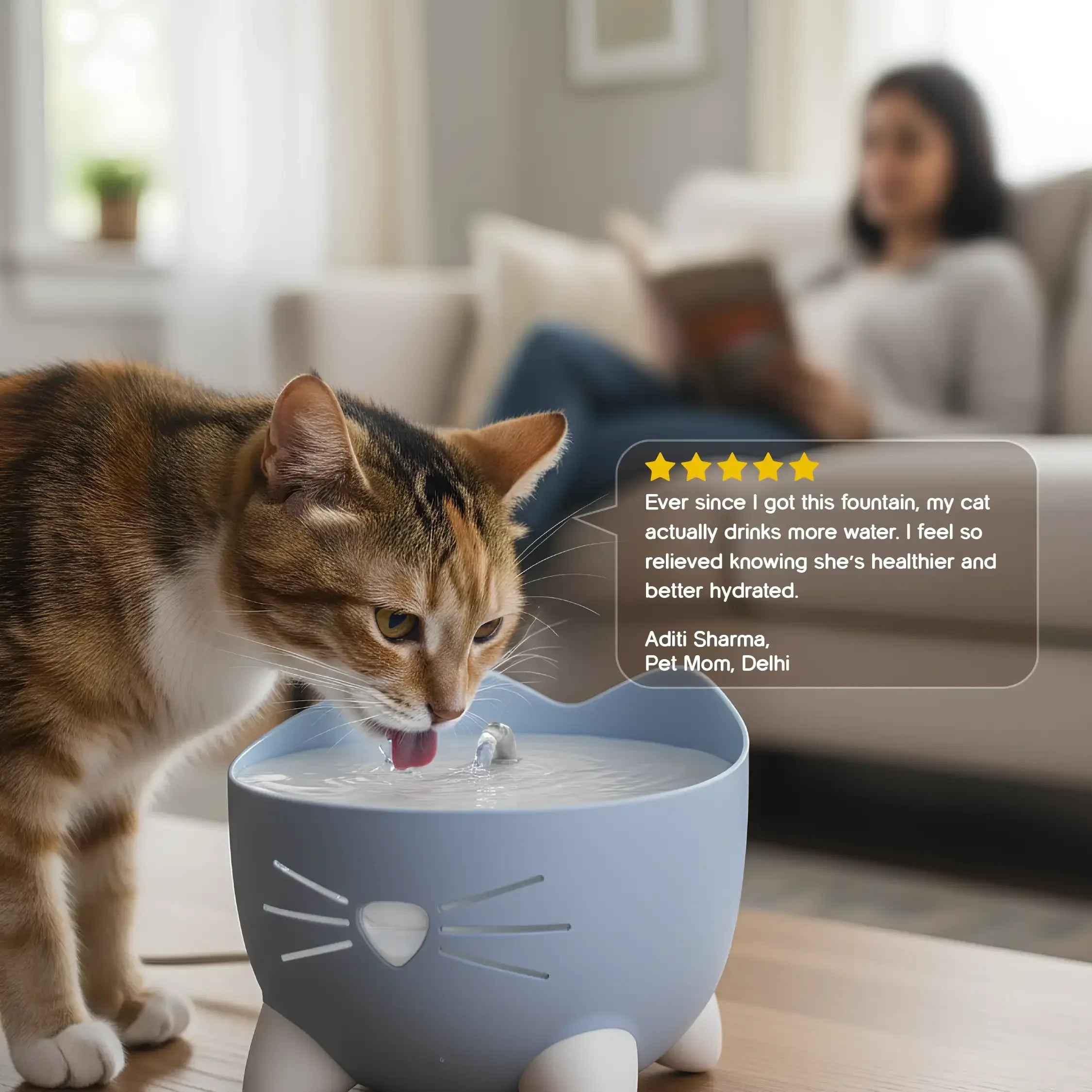 Vitalwhisk fountain-Catit Pixi Water Drinking Fountains | Triple-Filtered Hydration | Silent & Safe that Prevents Your Cats From KIdney And Bladder Issues - Tilting Heads