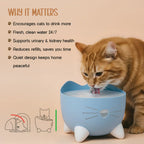 Vitalwhisk fountain-Catit Pixi Water Drinking Fountains | Triple-Filtered Hydration | Silent & Safe that Prevents Your Cats From KIdney And Bladder Issues - Tilting Heads