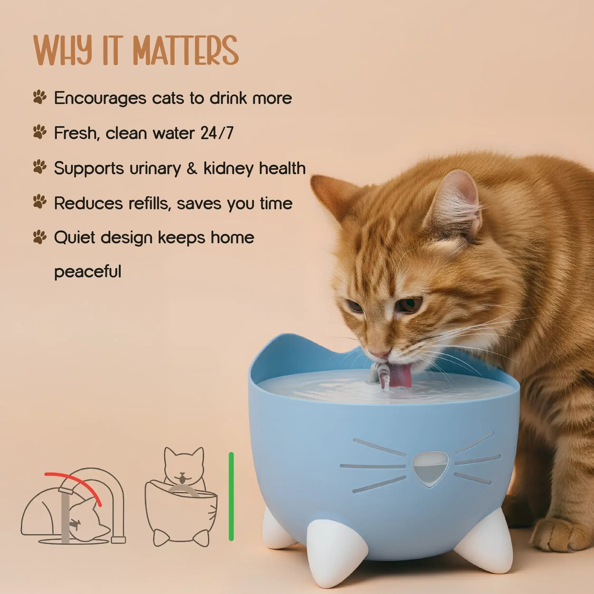 Vitalwhisk fountain-Catit Pixi Water Drinking Fountains | Triple-Filtered Hydration | Silent & Safe that Prevents Your Cats From KIdney And Bladder Issues - Tilting Heads