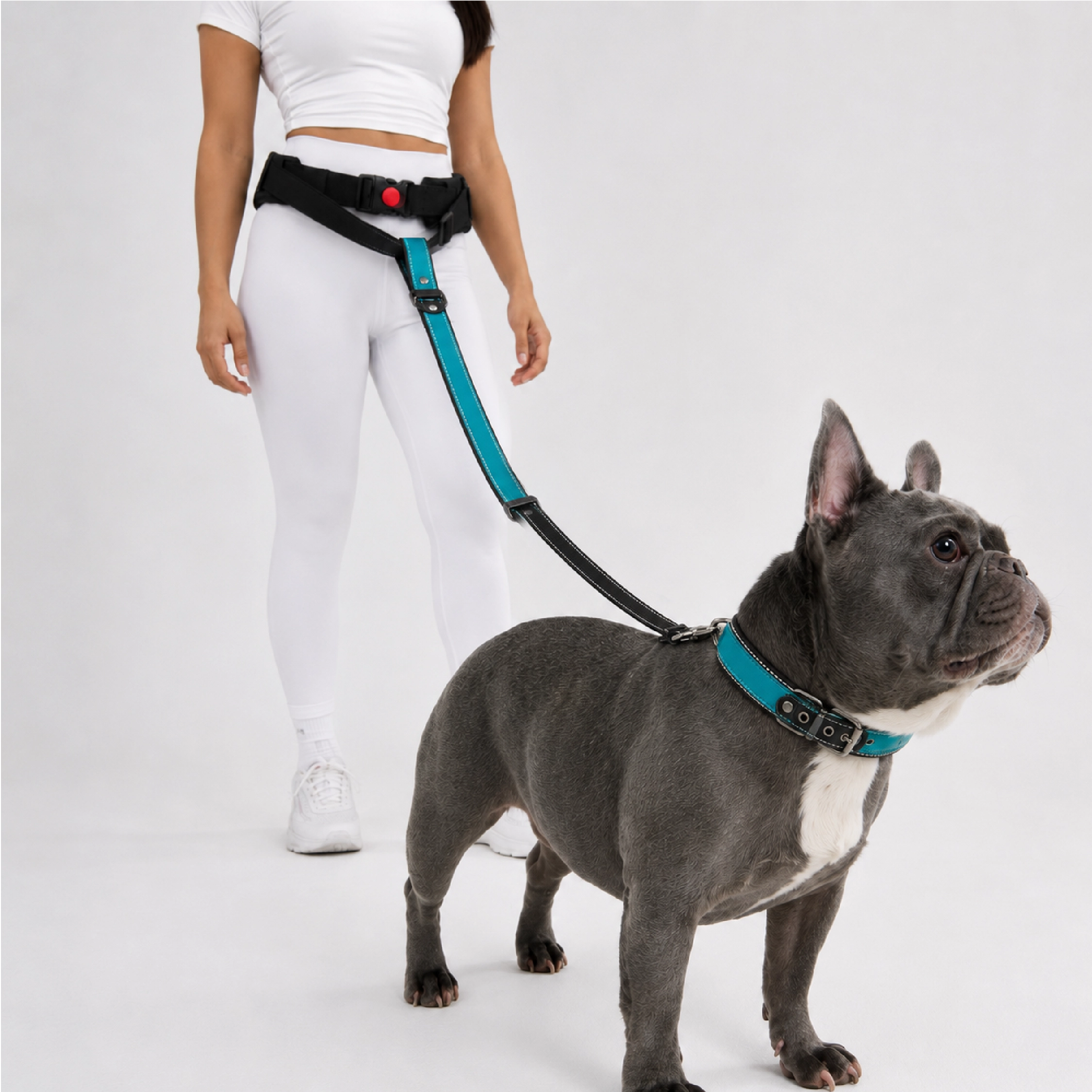 Hands-Free Dog Belt