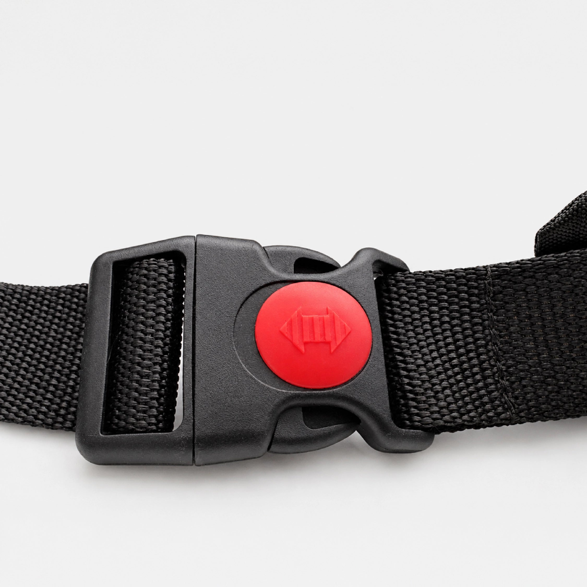 Hands-Free Dog Belt