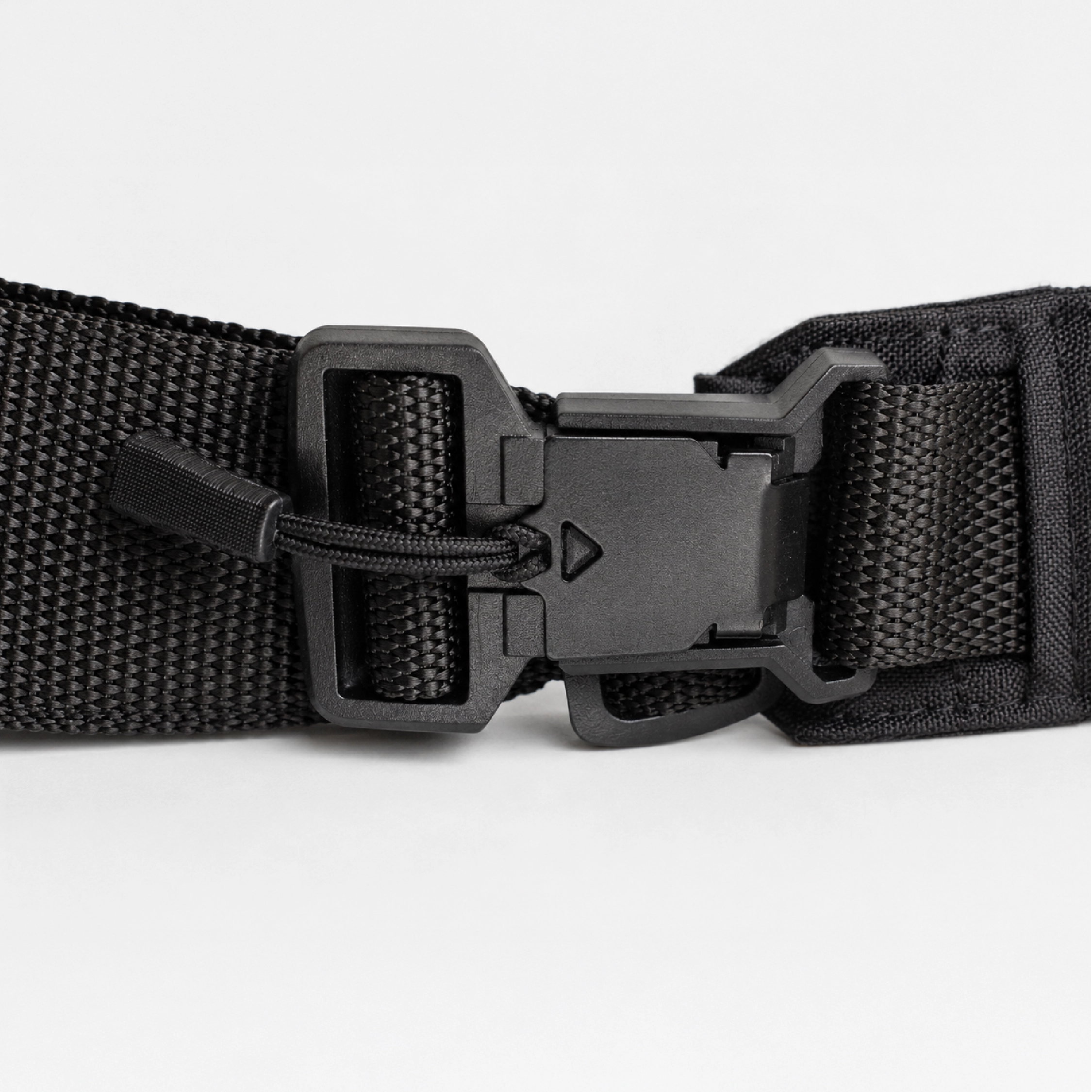 Hands-Free Dog Belt