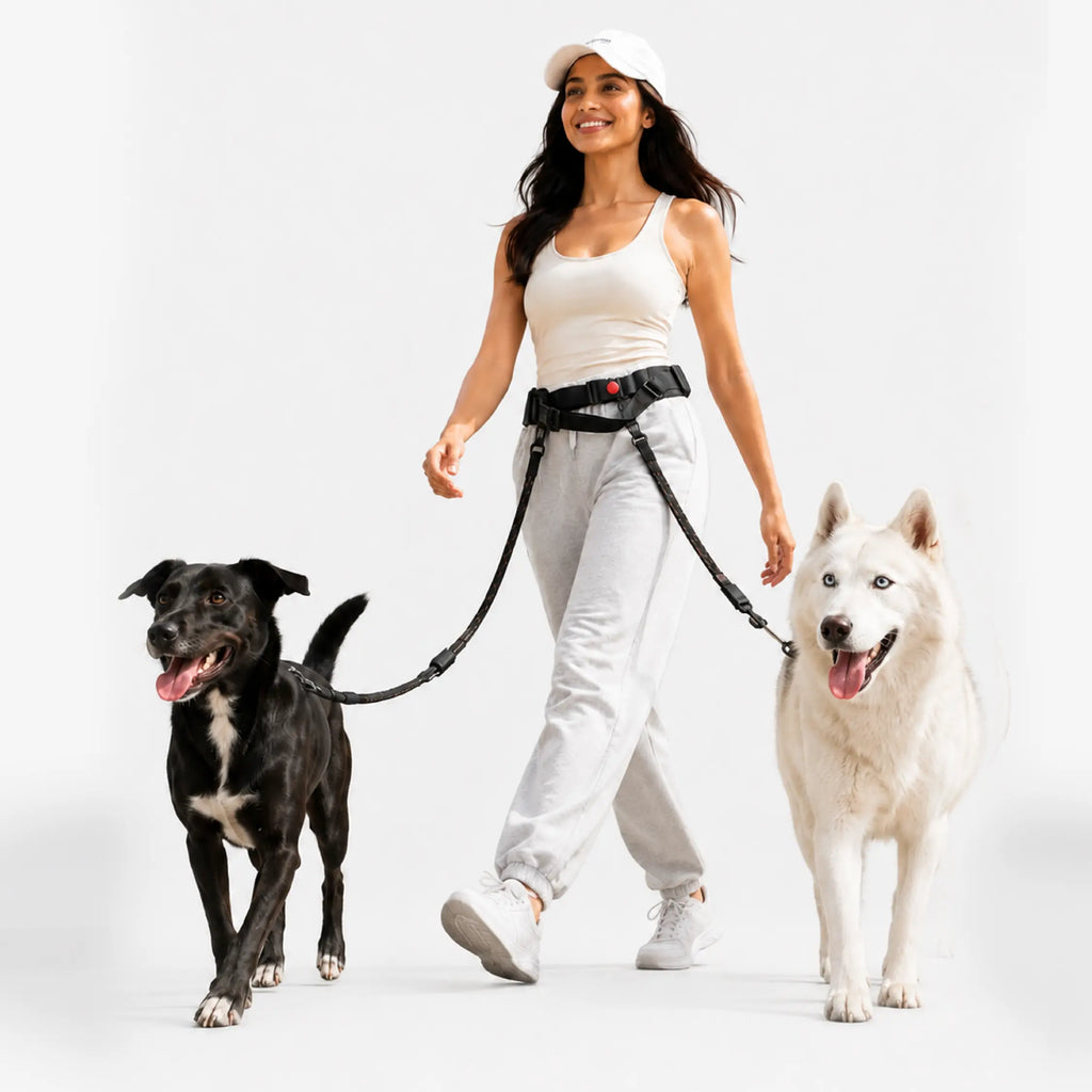 Hands-Free Dog Belt