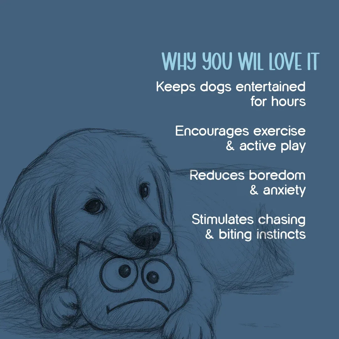 WiggleWag Pet Toy | Endless Fun for Your Pup - Tilting Heads