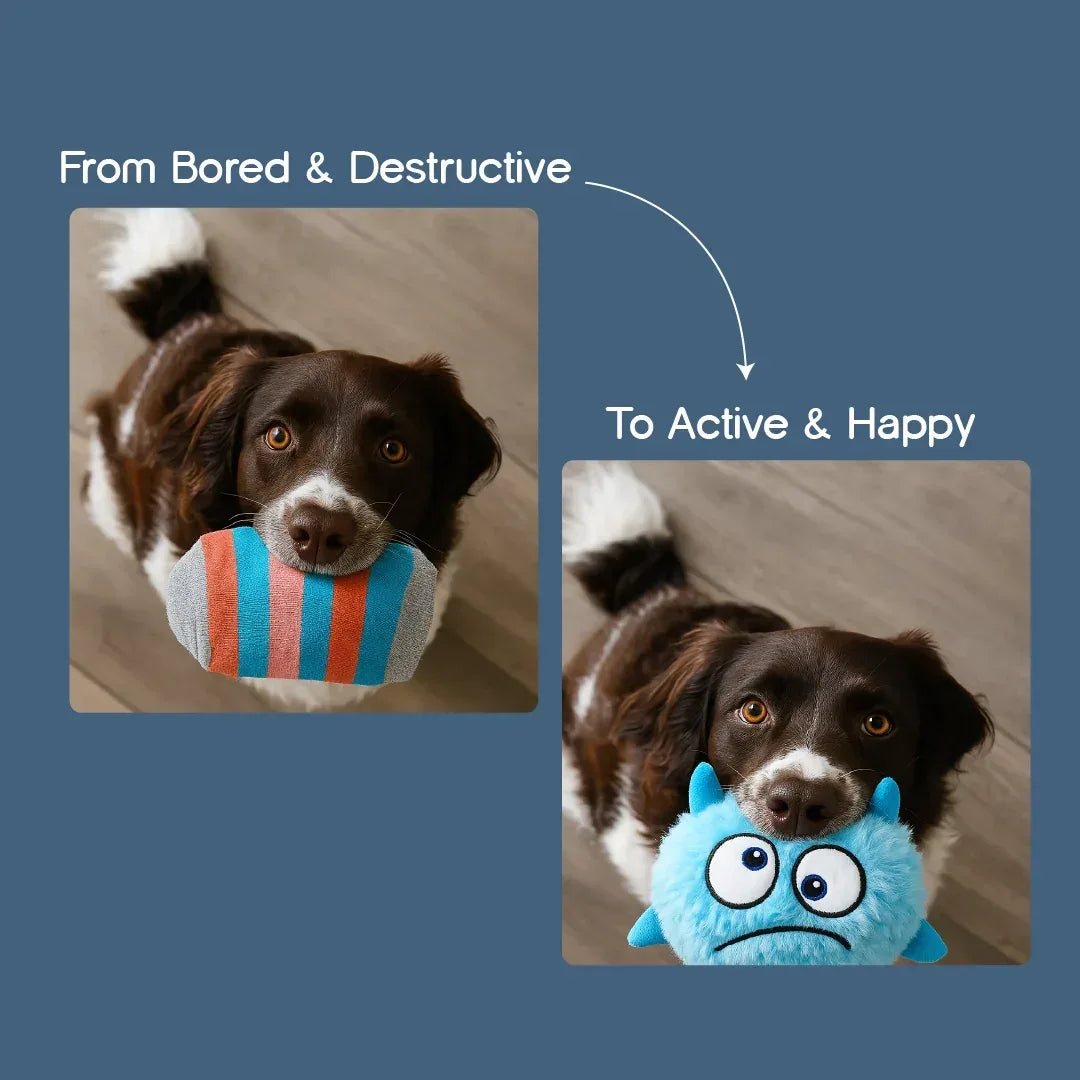WiggleWag Pet Toy | Endless Fun for Your Pup - Tilting Heads