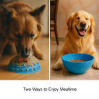 Wobble Bowl – Slow Feeding Made Fun for Healthy, Happy Pets - Tilting Heads