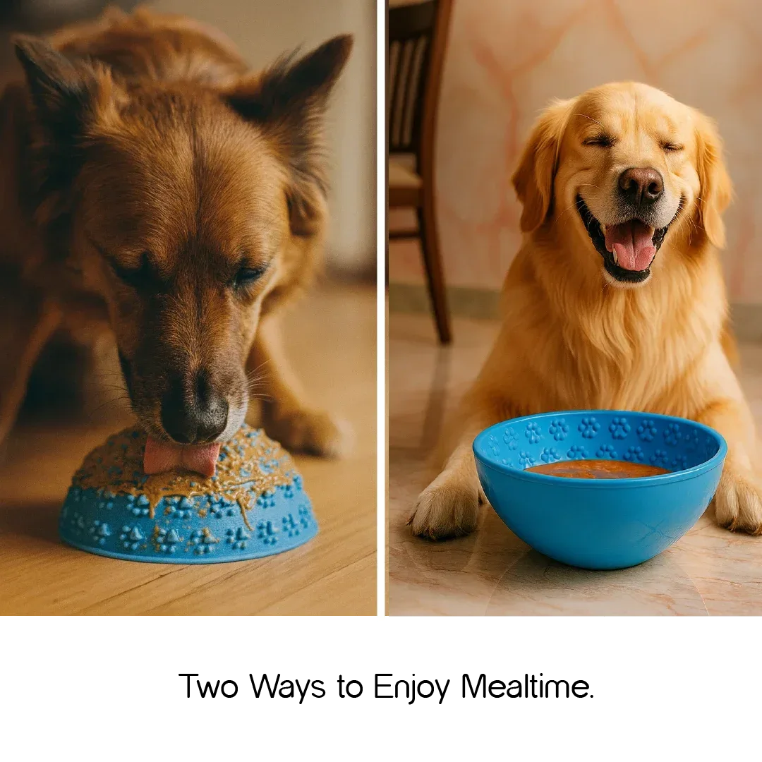 Wobble Bowl – Slow Feeding Made Fun for Healthy, Happy Pets - Tilting Heads
