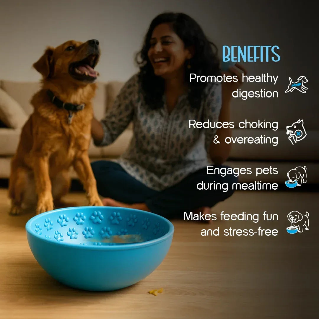 Wobble Bowl – Slow Feeding Made Fun for Healthy, Happy Pets - Tilting Heads