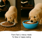 Wobble Bowl – Slow Feeding Made Fun for Healthy, Happy Pets - Tilting Heads