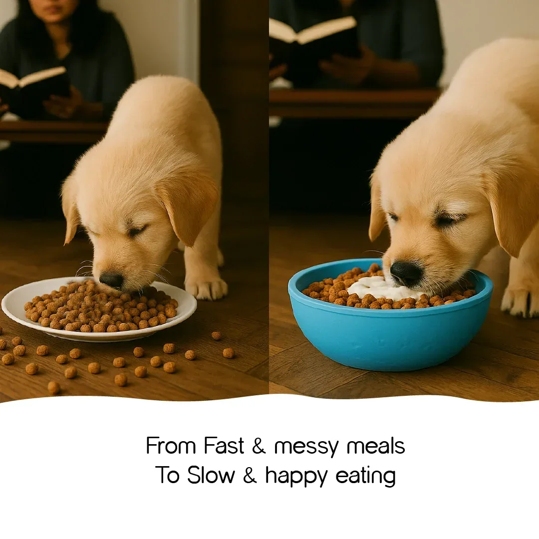 Wobble Bowl – Slow Feeding Made Fun for Healthy, Happy Pets - Tilting Heads