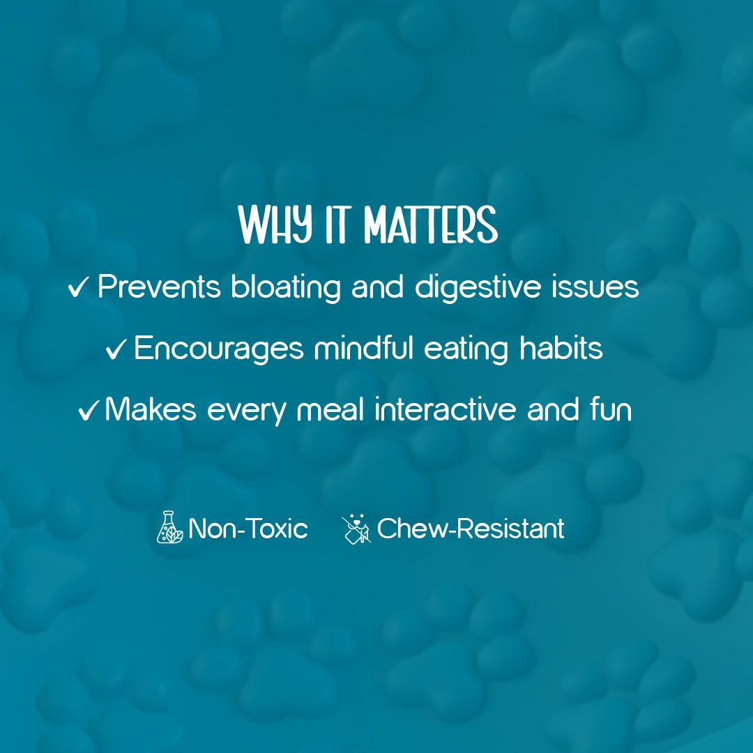 Wobble Bowl – Slow Feeding Made Fun for Healthy, Happy Pets