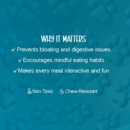 Wobble Bowl – Slow Feeding Made Fun for Healthy, Happy Pets