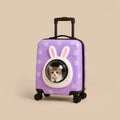 Wander Whiskers | Suitcase-Style Pet Carrier | Air-Comfy Travel