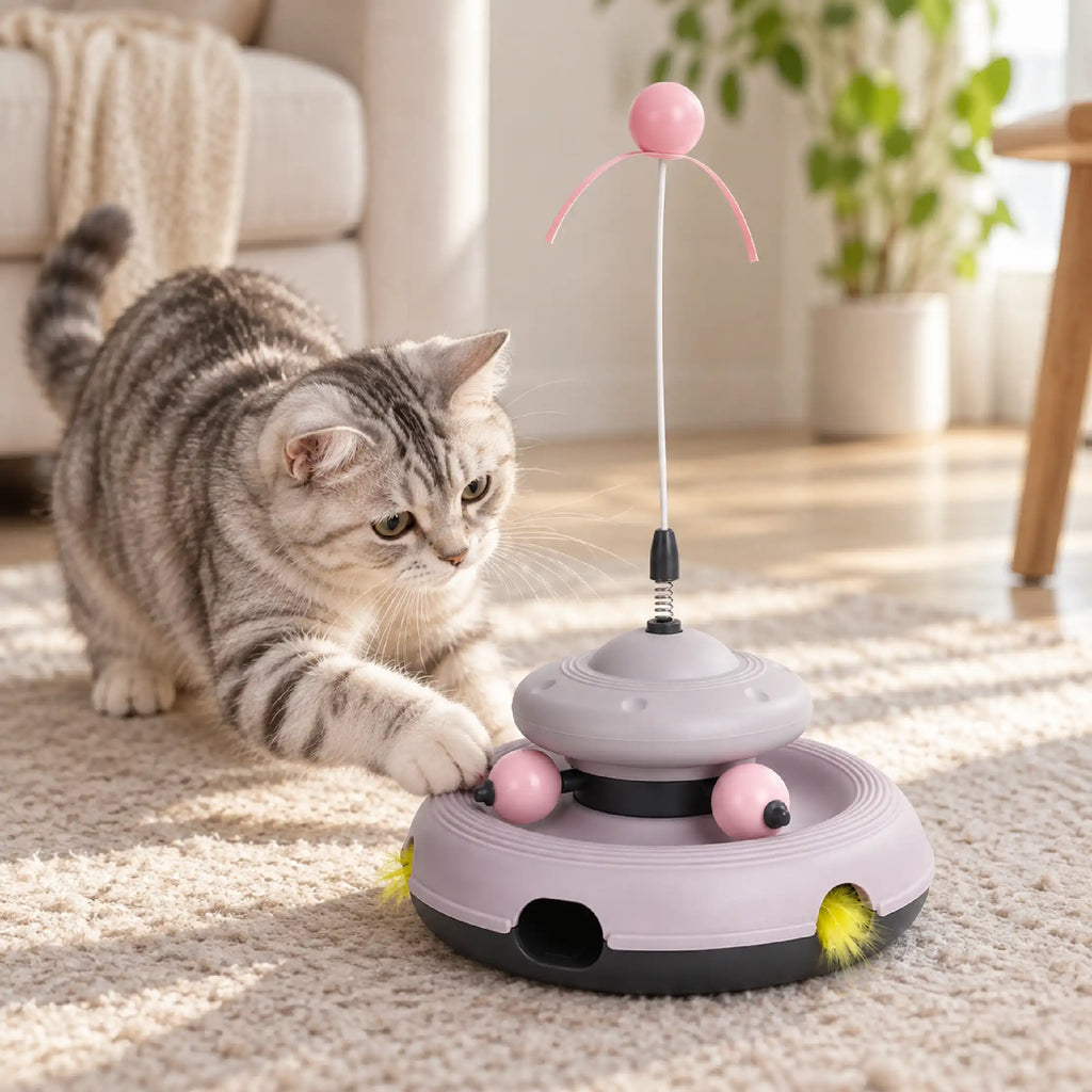 WhirlChase Toy