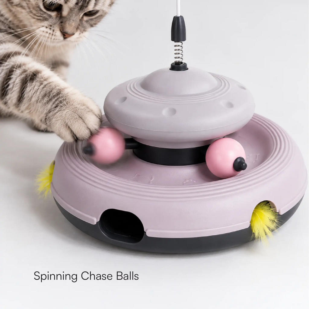 WhirlChase Toy
