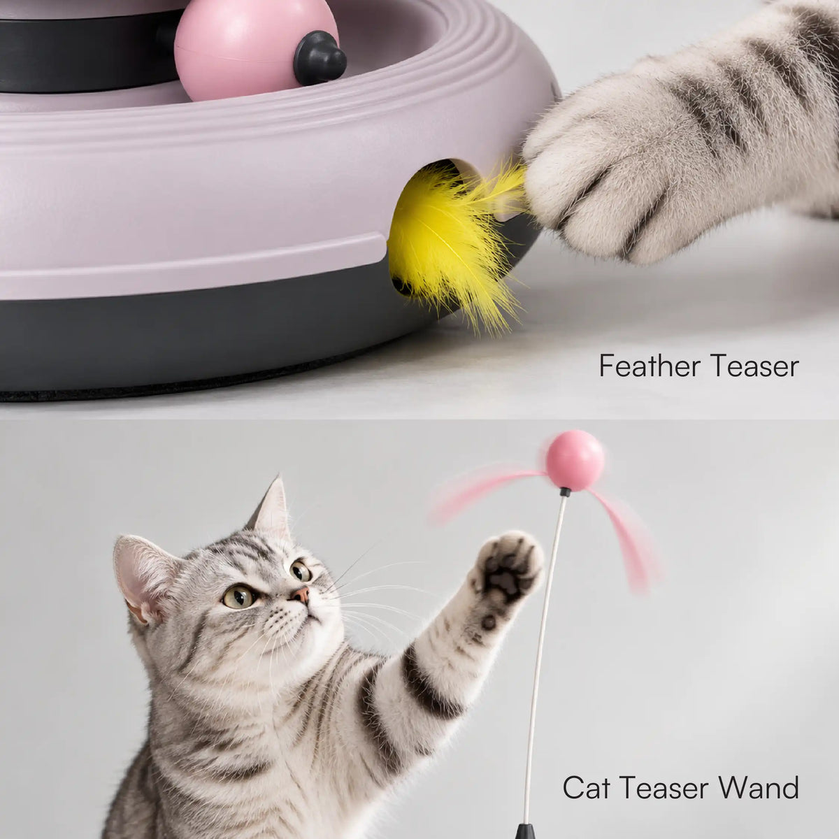 WhirlChase Toy