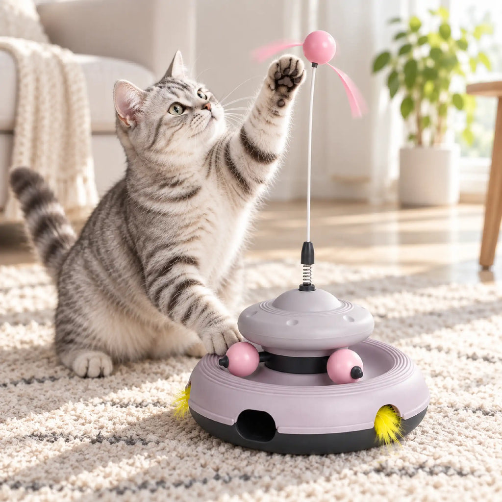 WhirlChase Toy