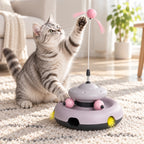 WhirlChase Toy
