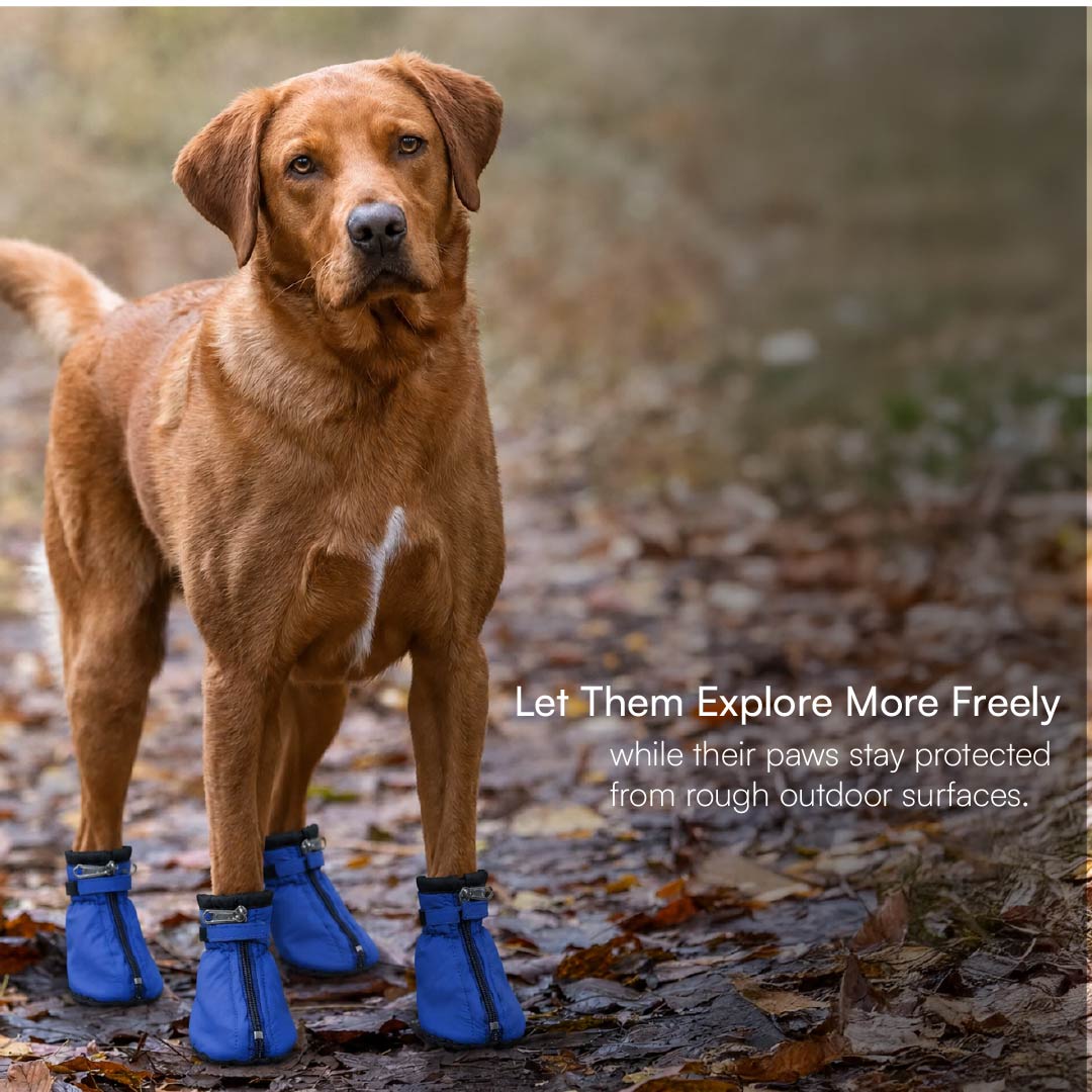 WildTrail Boots | Winter-Ready, Waterproof & Non-Slip | Built for All Terrains