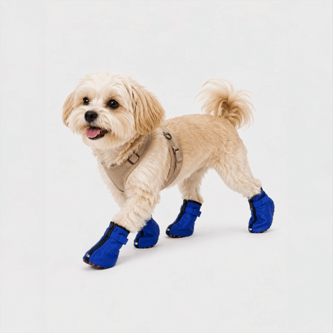WildTrail Boots