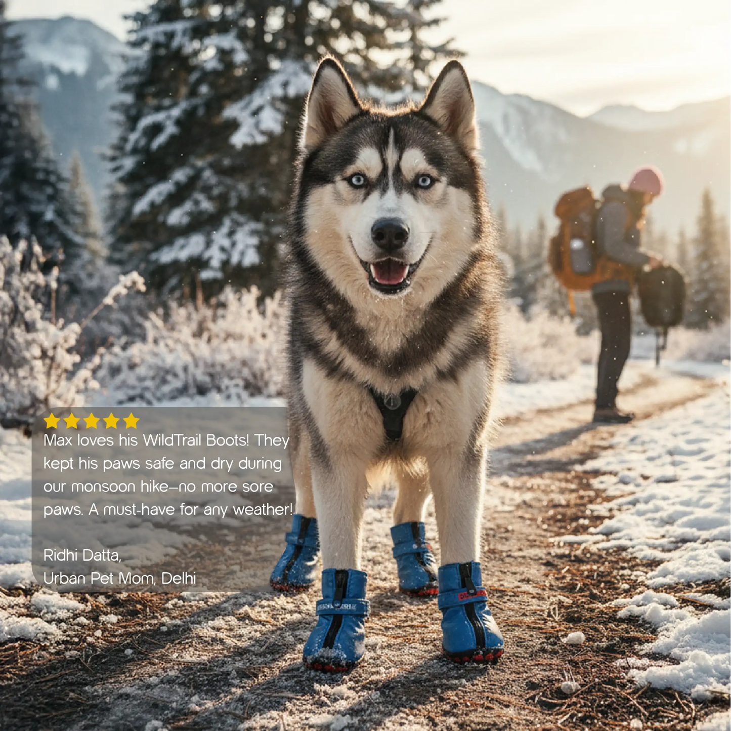 WildTrail Boots | Waterproof Dog Boots | Non-Slip Soles | Perfect for All Terrains