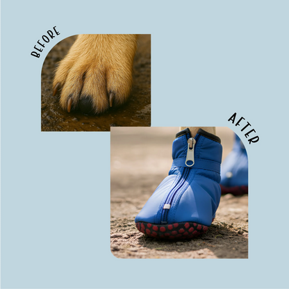 WildTrail Boots | Winter-Ready, Waterproof & Non-Slip | Built for All Terrains