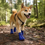 WildTrail Boots